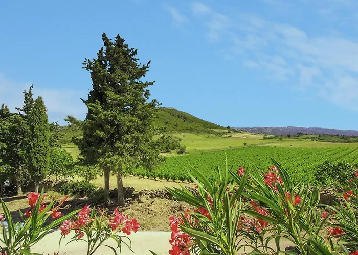 Serene Family Escape דירה Villeseque-des-Corbieres